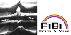 pibi-logo.gif (7353 Byte)